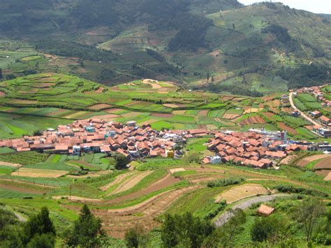 File:Poomparai village.jpg - Wikipedia