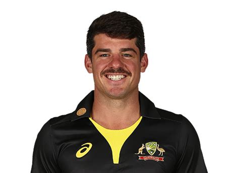 Moises Henriques player page headshot cutout, 2021 | ESPNcricinfo.com