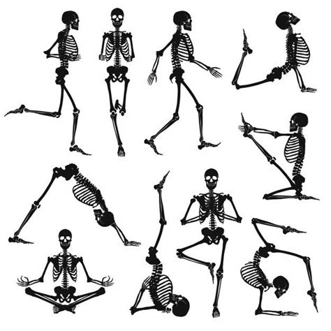 Free Vector | Black Human Skeletons | Human skeleton, Skeleton tattoos ...