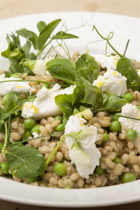 Pearl Barley Salad Recipe | Recipe | Barley salad recipes, Barley salad ...