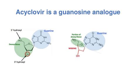 Mechanism of action of acyclovir with Video