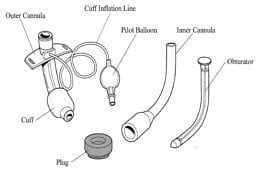 Fenestrated Tracheostomy Tube • LITFL • CCC Airway