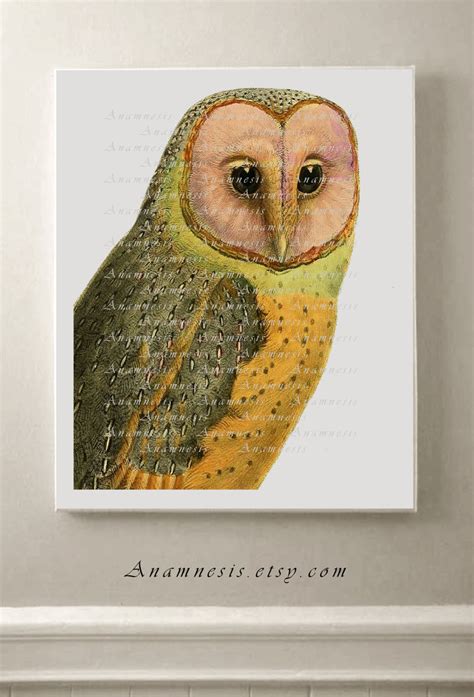 Owl Art Print OWL 03 Instant Digital Download Printable Antique Bird ...