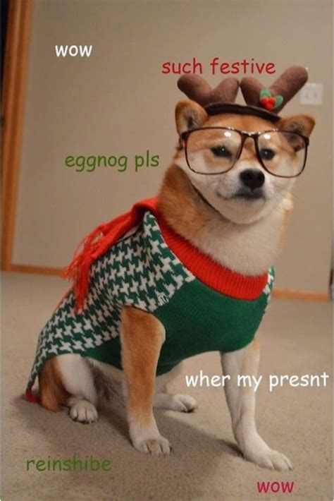 100 Funniest Merry Christmas Memes - SayingImages.com