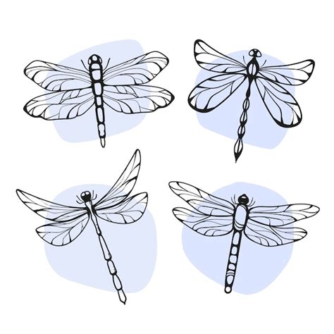 Dragonfly Cliparts, Stock Vector and Royalty Free Dragonfly - Clip Art Library