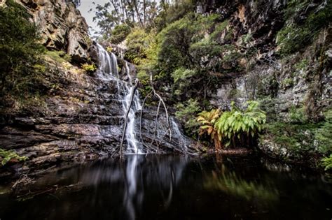 Blue Mountains Waterfalls - Australian Photography