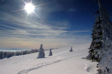 Slovak mountains stock image. Image of winter, snow, white - 3516883