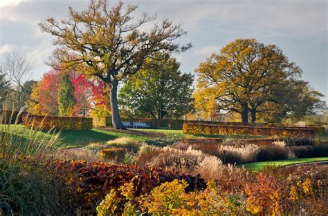 Autumn colors at Wisley Gardens, Surrey, UK | Surrey, England, Autumn