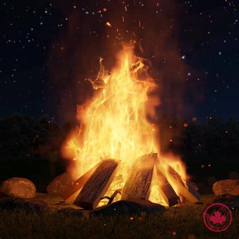 CAMPFIRE WOOD – Ottawa Firewood