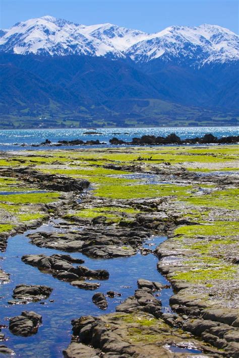 Kaikoura scenic view stock photo. Image of clouds, water - 16520702