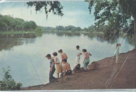 Lake Jackson Park, Lake Jackson Texas... | Lake jackson texas, Lake jackson, Texas history