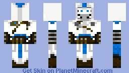 Assassin Zebra Minecraft Skin