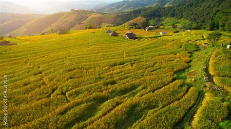 Aerial video of drones flying over rice terraces and beautiful landscapes, green and yellow rice ...