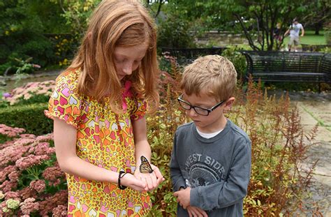 Butterfly Conservatory | Niagara Falls Attractions - Skylon Tower