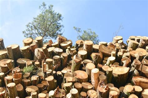 Premium Photo | Pile of wood logs storage