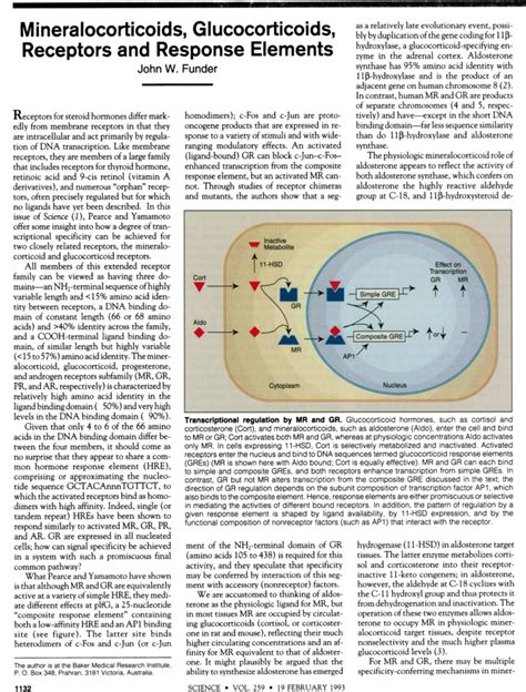 Mineralocorticoids, Glucocorticoids, Receptors and Response Elements | Science