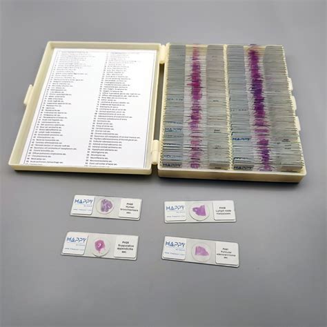 100pcs Basic Human Pathology Teaching Slides, Pathology Histology Prepared Microscope Slides