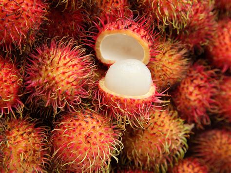 Unusual Fruit - 20 Exotic Fruits You Should Try Now | Healthy Food Tribe : The famous sibling of ...