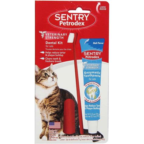 9 Best Tartar Removal Products for Cats in 2023 - Reviews & Top Picks | Pet Keen