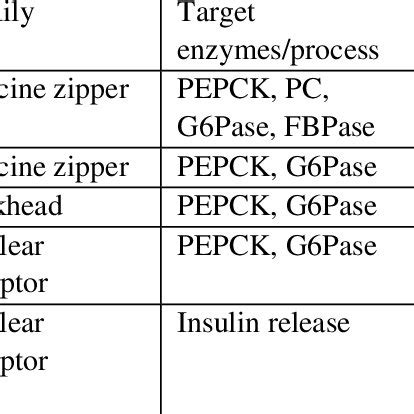 (PDF) GLUCONEOGENESIS REGULATION, MEASUREMENTS AND DISORDERS