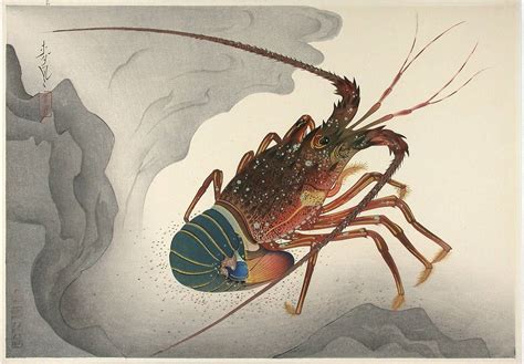 Sea creatures art, Japanese art, Culture art