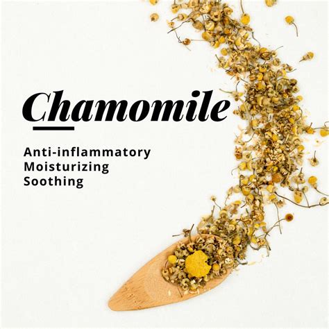 The Tea on Chamomile | Irritated skin, Chamomiles, Natural food