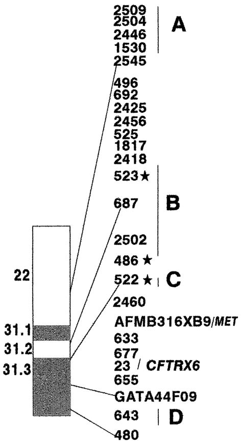 Molecular anatomy of chromosome 7q deletions in myeloid neoplasms: Evidence for multiple ...