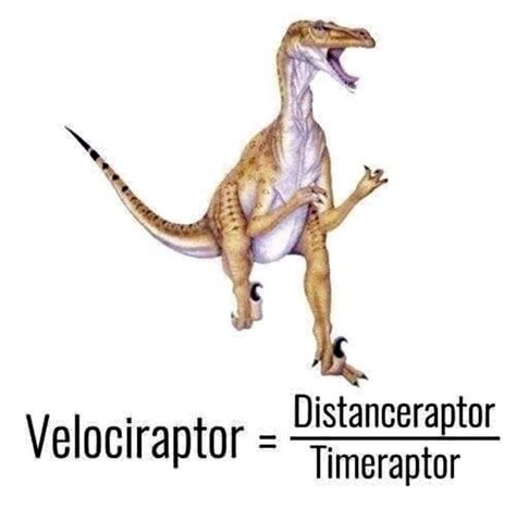 Raptor. | Memes engraçados, Engraçado, Memes