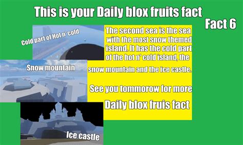 Daily blox fruits fact 6 : r/bloxfruits