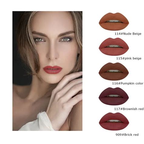Liquid lipstick Kit Brown Chocolate Nude Lip gloss Matte Women Sexy 5 Colors-in Lipstick from ...