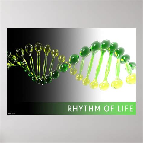 Rhythm of Life Poster | Zazzle