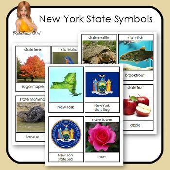 new york state flower and bird - Rod Wylie