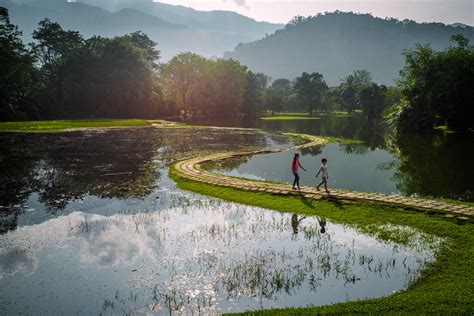 Taiping Lake Gardens: Resilience Over Histories | IFLA Asia-Pacific