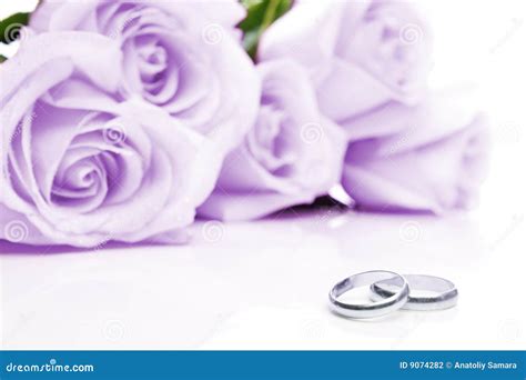 Wedding rings and roses stock photo. Image of invitation - 9074282