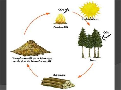 Energia biomassa