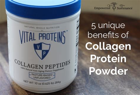 5 Unique Benefits of Collagen Protein Powder