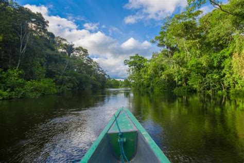 A Guide to Visiting the Amazon Rainforest | On The Go Tours | UK