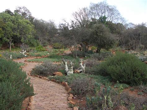 Pretoria National Botanical Garden, Pretoria, South-Africa | Pretoria ...