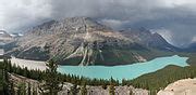 Category:Peyto Glacier - Wikimedia Commons