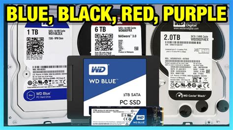 爆買い新作 HDD WD sushitai.com.mx