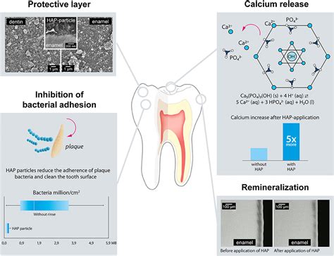 Frontiers | Hydroxyapatite as Remineralization Agent for Children's Dental Care