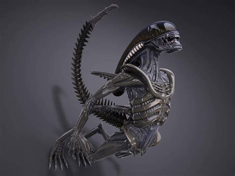 Alien Xenomorph - 3D Model by SQUIR