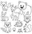 Forest animals Royalty Free Vector Image - VectorStock