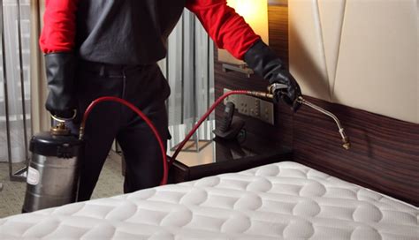 Bed Bug Control – Hindustan Insecticides