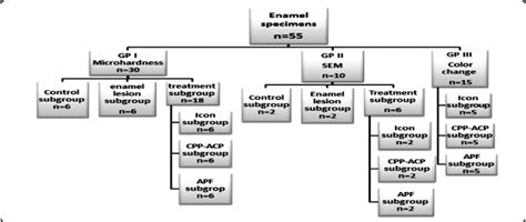 Groups and subgroups of the study. | Download Scientific Diagram