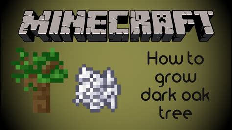 Minecraft dark oak seed