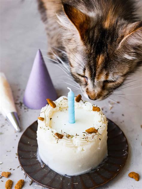 Cat Birthday Cake - Yummy Recipe