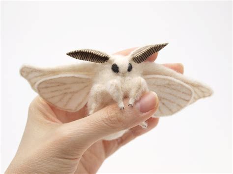 This is a Venezuelan Poodle Moth : pics