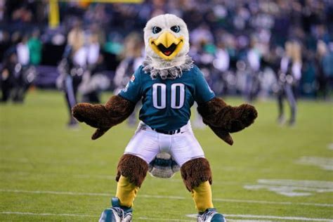 What Is Philadelphia Eagles Mascot Swoop Salary?