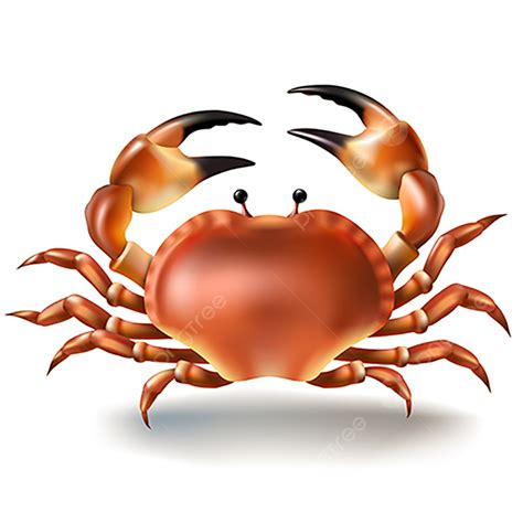 Crab Illustration Vector Design Images, Vector Illustration Badges Stickers Crab In Realistic ...